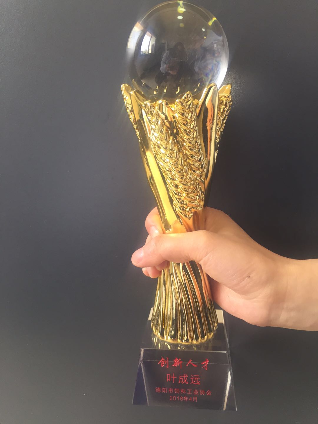德陽創(chuàng)新技術(shù)人才獎杯.jpg 德陽創(chuàng)新技術(shù)人才獎杯.jpg