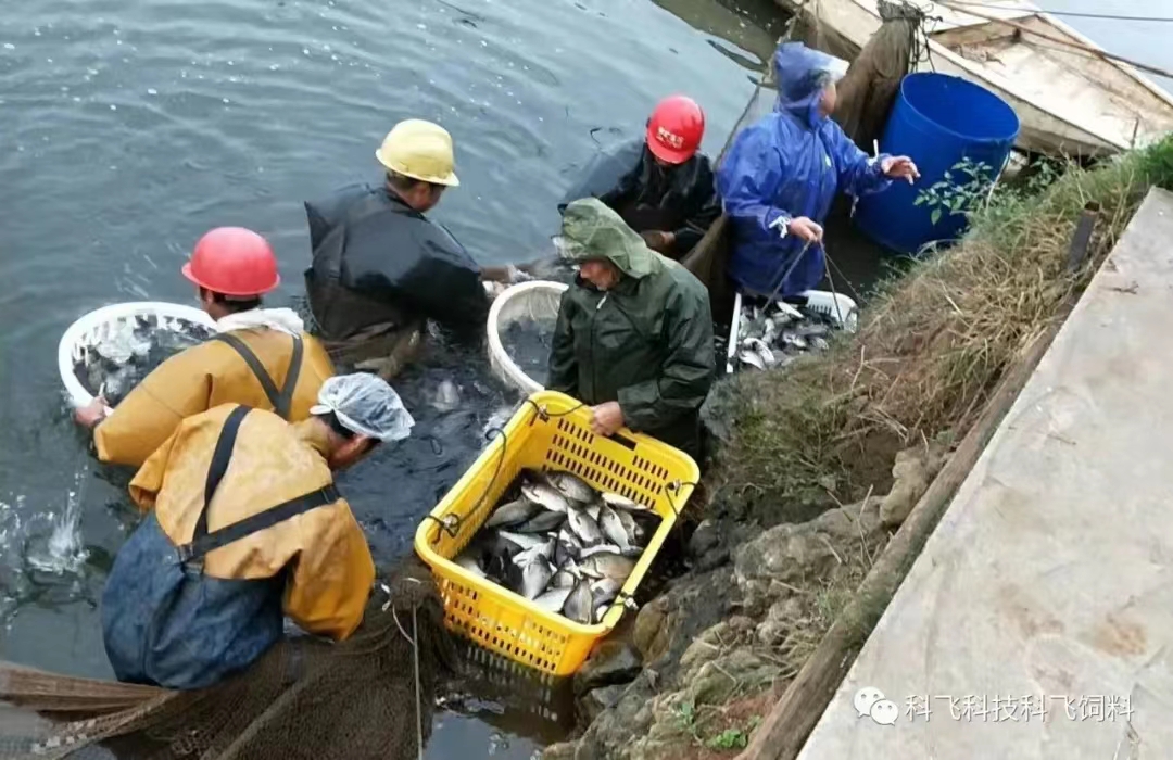 運輸用水.jpg 運輸用水.jpg
