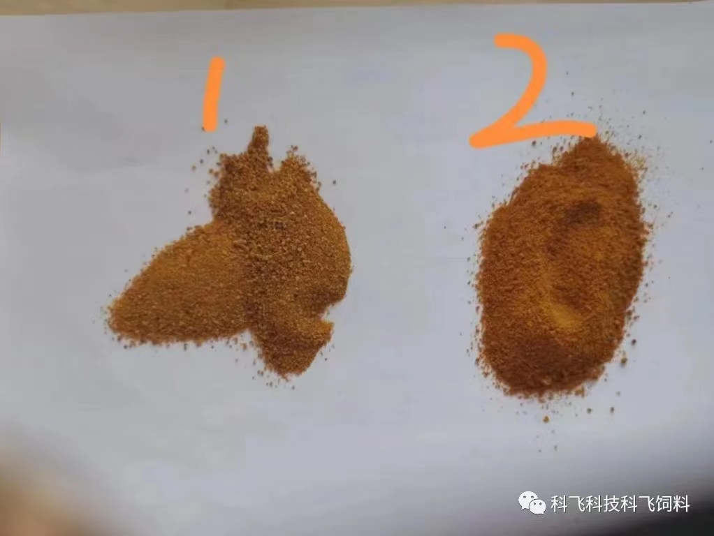 蛋白質1-1.jpg 蛋白質1-1.jpg