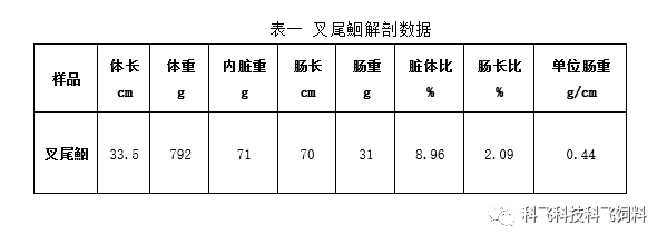 4.png 4.png
